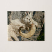 Big Horn Sheep Laghing Puzzle (Horizontal)