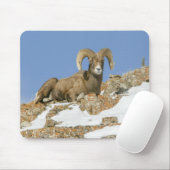 Big Horn Sheep Mousepad (Mit Mouse)