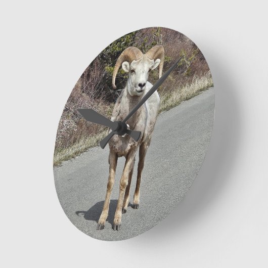 Big Horn Sheep Runde Wanduhr (Winkel)