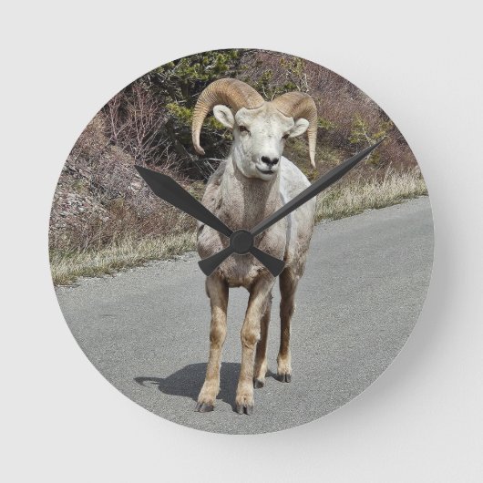 Big Horn Sheep Runde Wanduhr (Vorderseite)