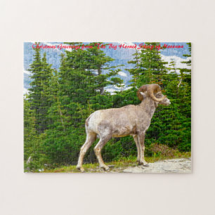 Big Horned Sheep Montana. Weihnachtsgrüße Puzzle