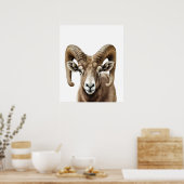 Big Horned Sheep Portrait Schwarz-weiß Poster (Küche)