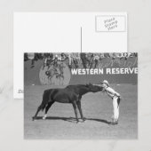 Big Horse Kiss, 1940 Postkarte (Vorne/Hinten)