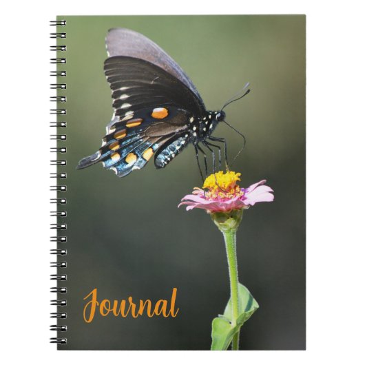 Big Hübsch Butterfly und Blume Journal Personal Notizblock (Vorderseite)