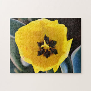 Big Hübsch Yellow Tulip Blume Puzzle