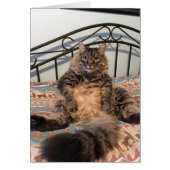 Big Huggable Cat Blank Card (Vorne)