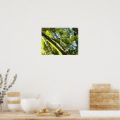 BIG ISLAND GECKO POSTER (Küche)