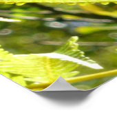 BIG ISLAND GECKO POSTER (Ecke)