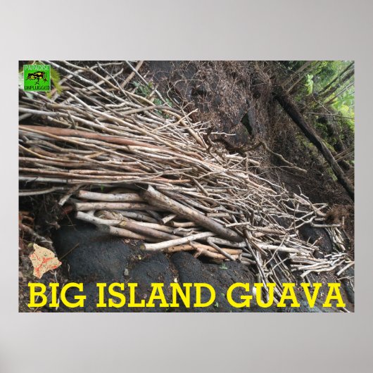 BIG ISLAND GUAVA POSTER (Vorne)