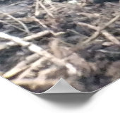 BIG ISLAND LAVA ROCK POSTER (Ecke)