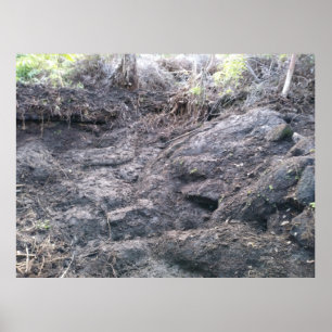 BIG ISLAND LAVA ROCK POSTER