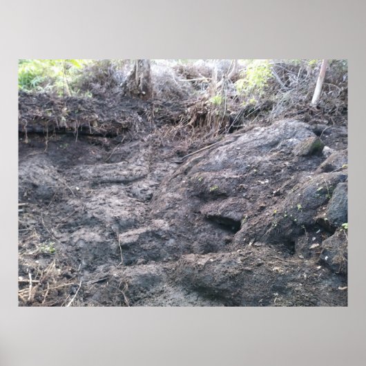 BIG ISLAND LAVA ROCK POSTER (Vorne)