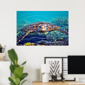 Big Island Turtle Poster (Heimbüro)