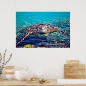 Big Island Turtle Poster (Küche)
