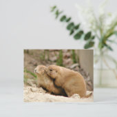 Big Kiss Postkarte (Stehend Vorderseite)