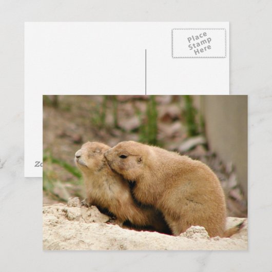 Big Kiss Postkarte (Vorne/Hinten)