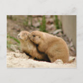 Big Kiss Postkarte (Vorderseite)