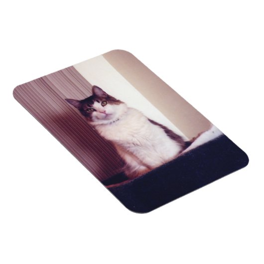 Big Kitty Magnet (Rechte Seite)