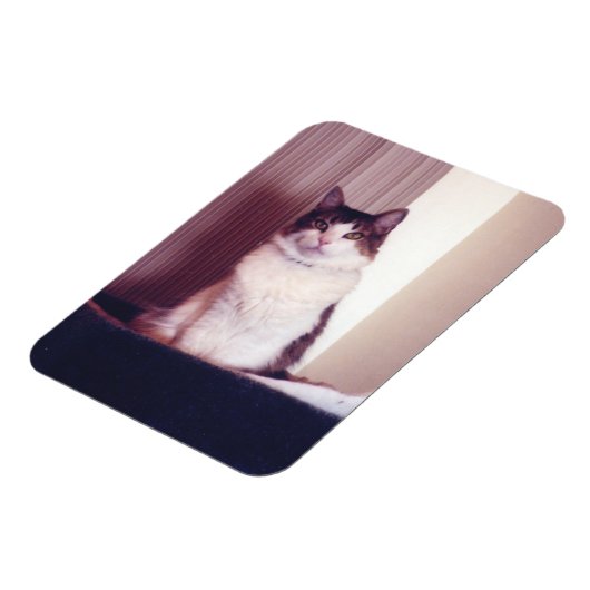 Big Kitty Magnet (Linke Seite)