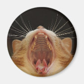 Big Kitty Yawn, Sleepy Kitty Magnet (Vorne)