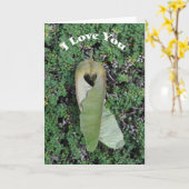 Big Leaf Maple Herz - Framework Art Card Karte (Gelbe Blume)