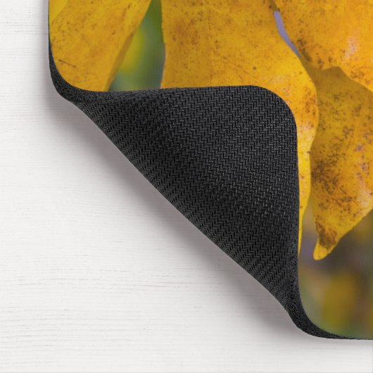 Big Leaf Maple Mousepad (Ecke)