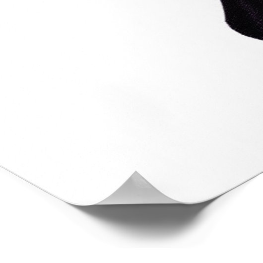 Big Lila & Black Butterfly Poster (Ecke)