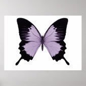 Big Lila & Black Butterfly Poster (Vorne)