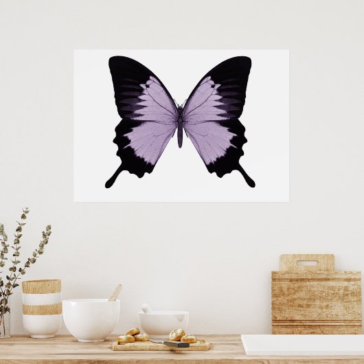Big Lila & Black Butterfly Poster (Küche)