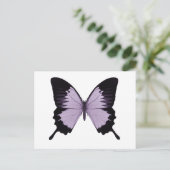 Big Lila & Black Butterfly Postkarte (Stehend Vorderseite)