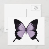 Big Lila & Black Butterfly Postkarte (Vorne/Hinten)