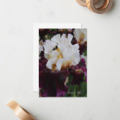 Big Lila & White Iris Mitteilungskarte (Vorderseite/Rückseite Beispiel)