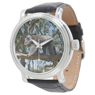 Big Male Australian Koala Bear, Armbanduhr