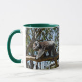 Big Male Australian Koala Bear, Tasse (Links)