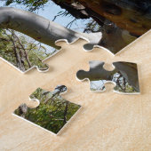 Big Male Australian Koala, Puzzle (Seite)