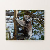 Big Male Australian Koala, Puzzle (Horizontal)