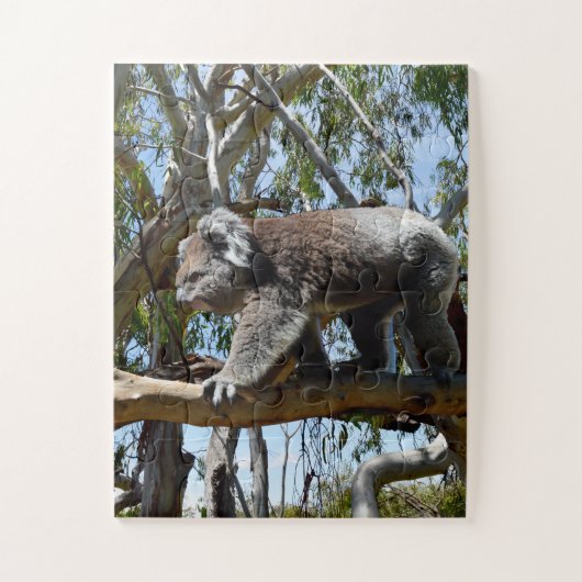 Big Male Australian Koala, Puzzle (Vertikal)