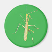 Big Mantis Magnet (Vorne)