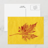 "Big Maple Yellow" Landstraßen Postkarte (Vorne/Hinten)
