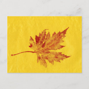 "Big Maple Yellow" Landstraßen Postkarte