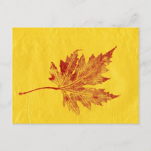 "Big Maple Yellow" Landstraßen Postkarte (Vorderseite)