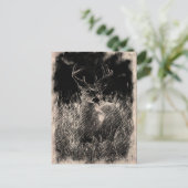 Big Meadows Buck Postcard Postkarte (Stehend Vorderseite)