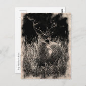 Big Meadows Buck Postcard Postkarte (Vorne/Hinten)