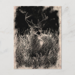 Big Meadows Buck Postcard Postkarte