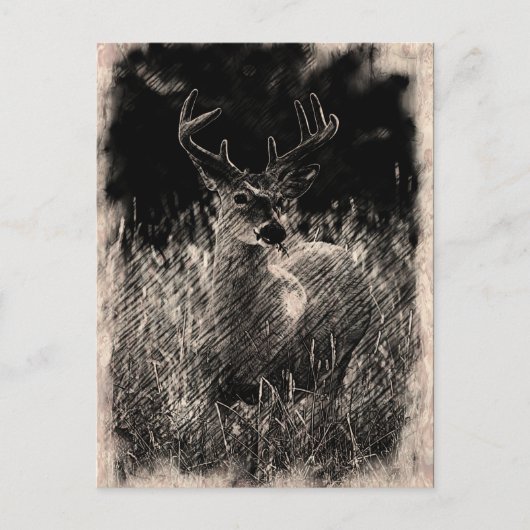 Big Meadows Buck Postcard Postkarte (Vorderseite)