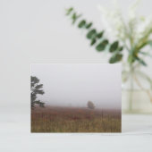 Big Meadows, Shenandoah National Park, Virginia Postkarte (Stehend Vorderseite)