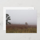 Big Meadows, Shenandoah National Park, Virginia Postkarte (Vorne/Hinten)
