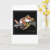 Big-Mit Augen African Tree Frog Karte (Gelbe Blume)