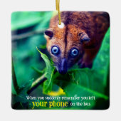 Big Mit Augen Possum Keramikornament (Vorderseite)