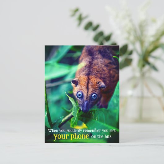 Big Mit Augen Possum Postkarte (Stehend Vorderseite)